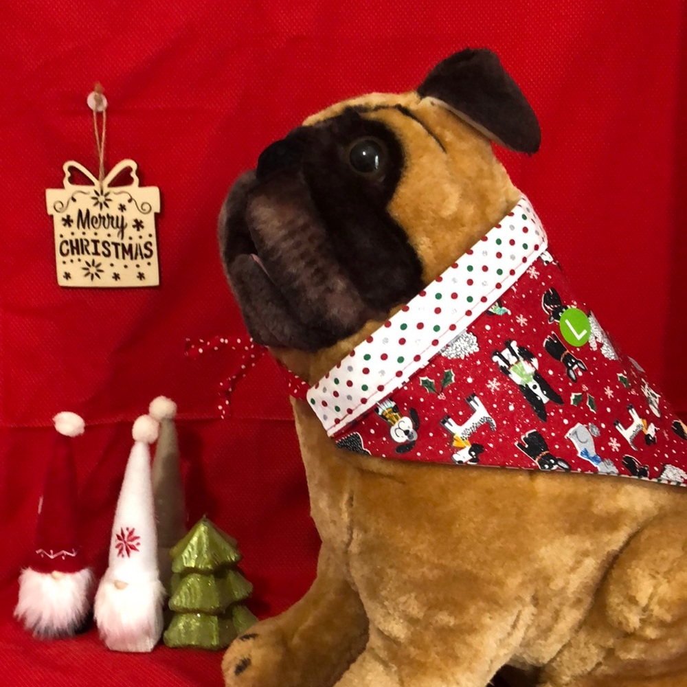 Pet bandanna